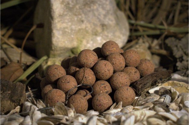 BalatonBaits - Maple - Nuts Balanced Hookbaits 20mm 150g