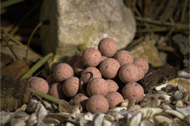 BalatonBaits - Tigerberry Balanced Hookbaits 20mm 150g