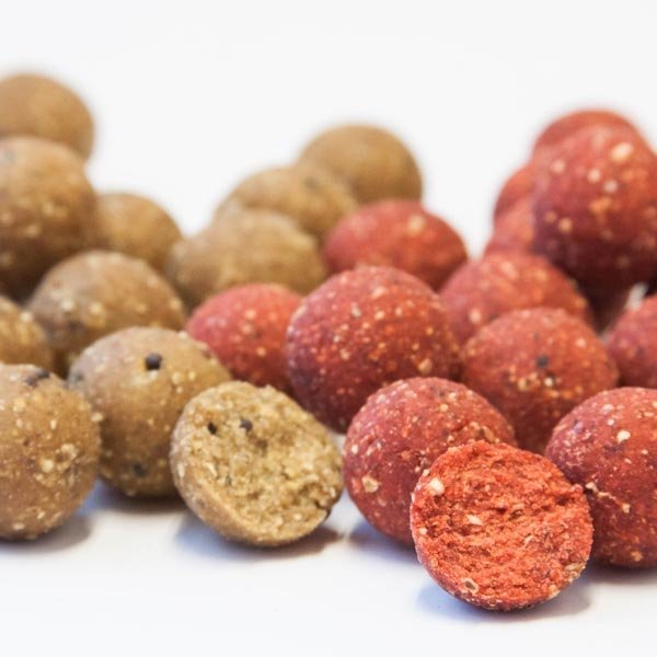 SBS - EuroBase Ready-Made Boilies Fokhagyma 20 mm 1 kg