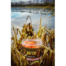 Food for Carp by Zsömi - Wafters Spice Life 60 g 16 mm