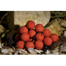 BalatonBaits - P2 Krill - Strawberry Balanced Hookbaits 20mm 150g