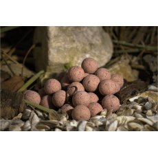 BalatonBaits - Tigerberry Balanced Hookbaits 20mm 150g